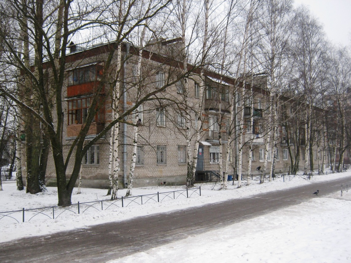 Санкт-Петербург, Проспект Народного Ополчения, 247 корп. 1