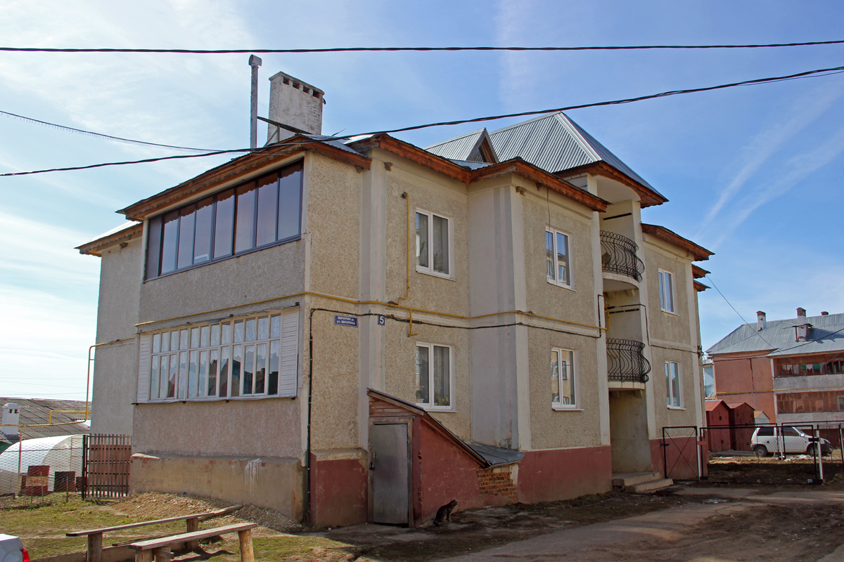 Высокая Гора, Улица Мичурина, 5