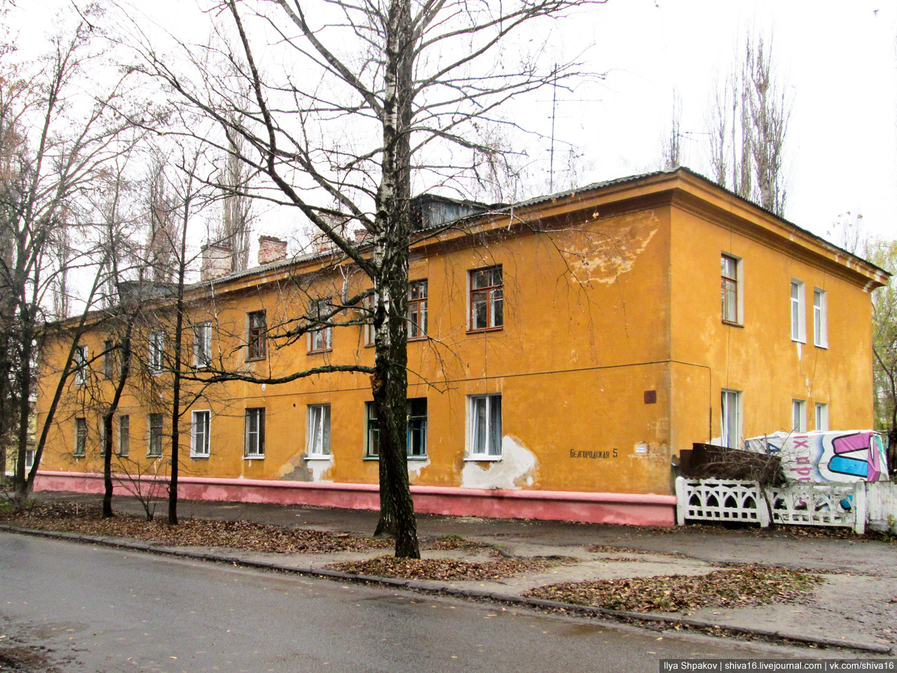 Курск, Белгородская улица, 5