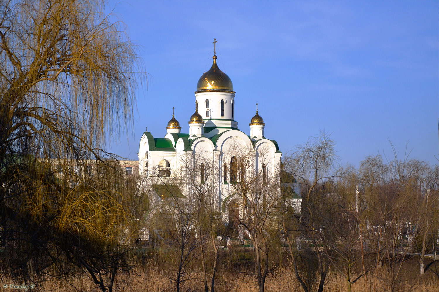 Tiraspol, Улица Карла Маркса, 81