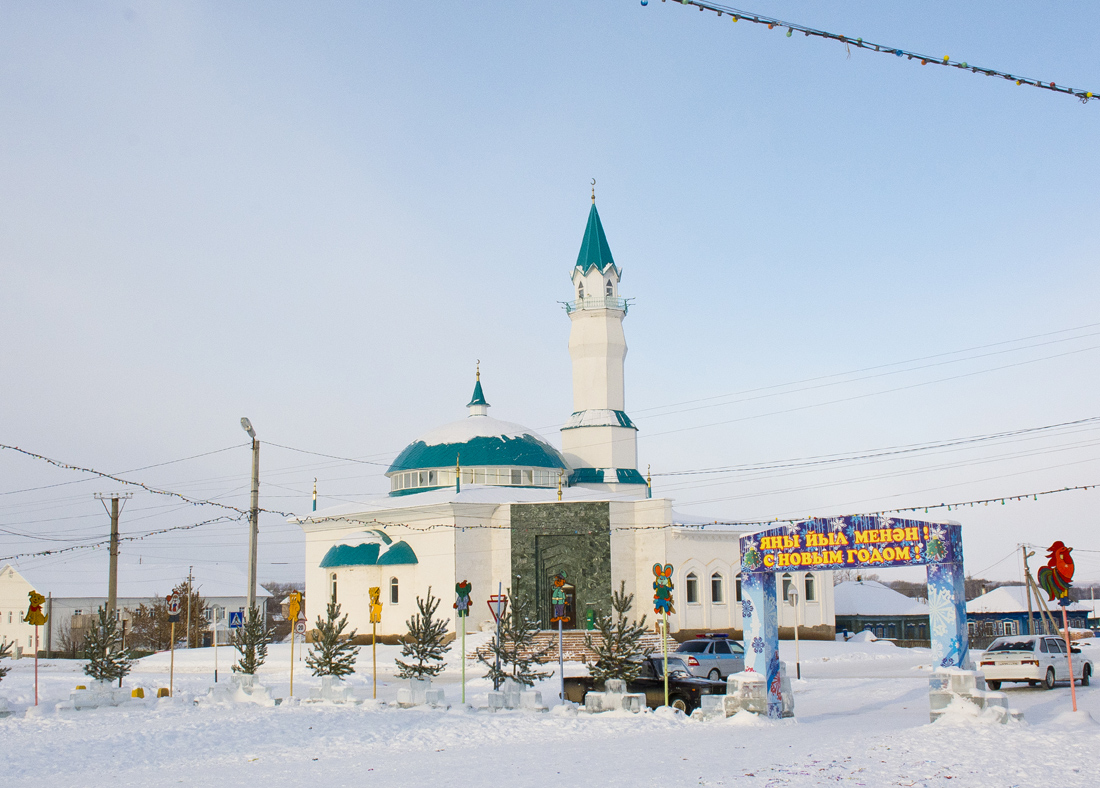 Благоварский район, прочие н.п., с. Языково, улица Пушкина, 10