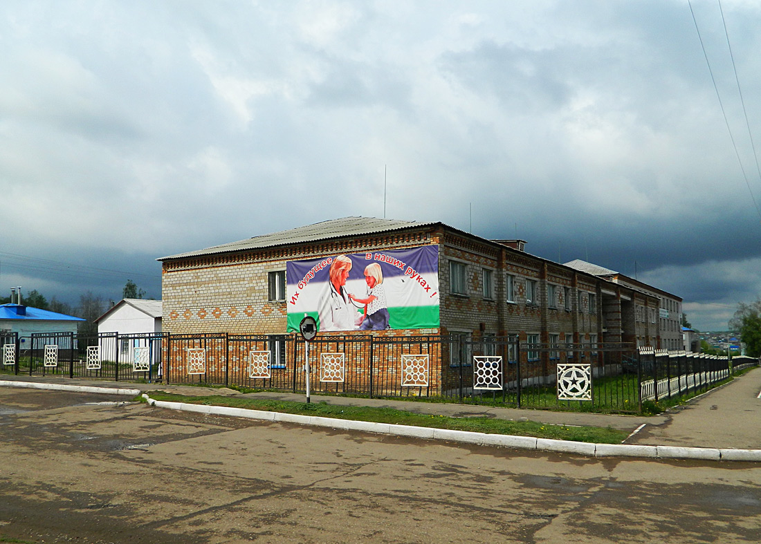 Благоварский район, прочие н.п., с. Языково, улица Мира, 2