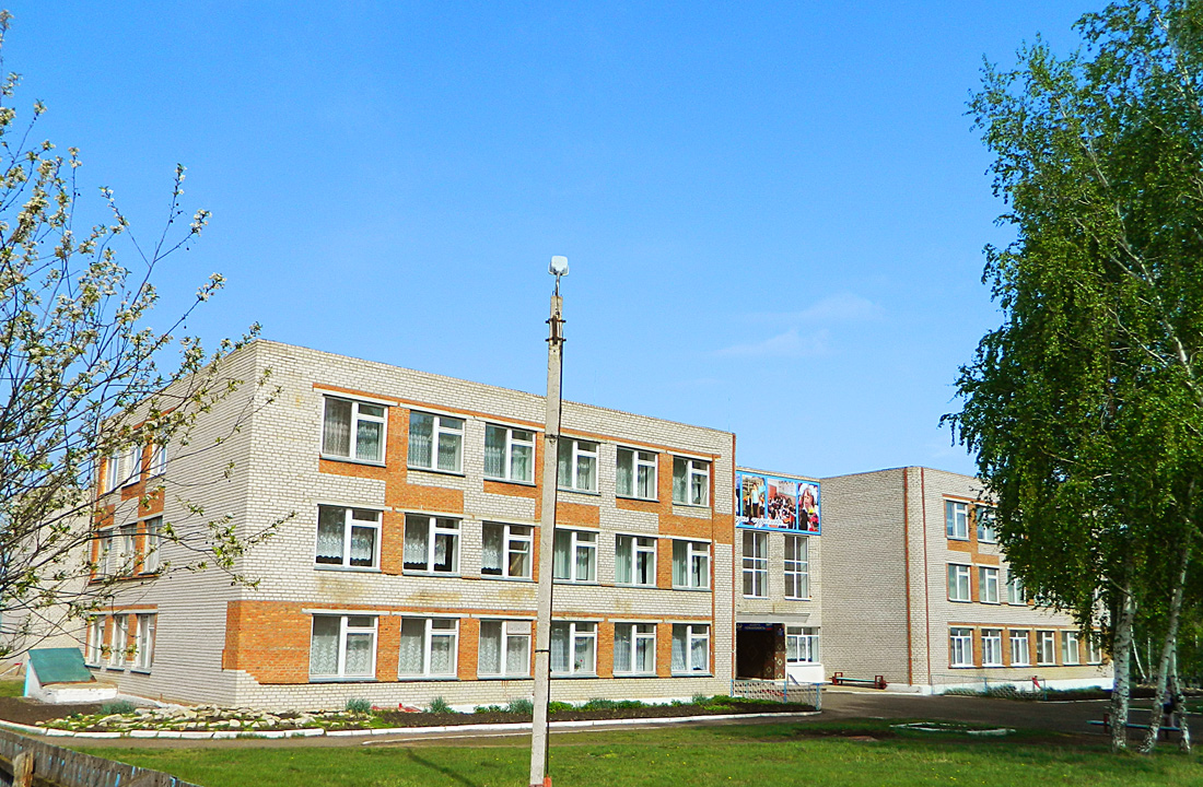 Благоварский район, прочие н.п., с. Языково, улица Победы, 12