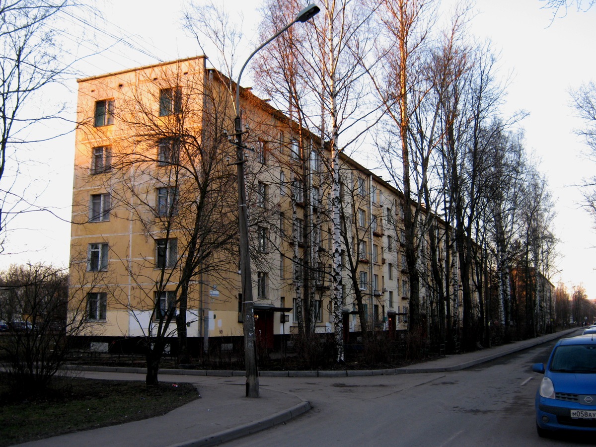 Санкт-Петербург, 2-я Комсомольская улица, 53