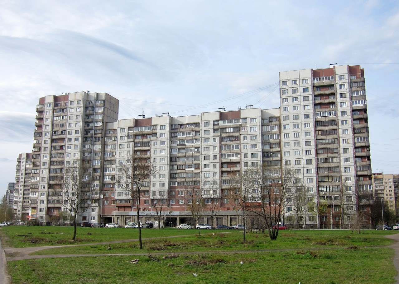 Санкт-Петербург, Бухарестская улица, 124 / Дунайский проспект, 56