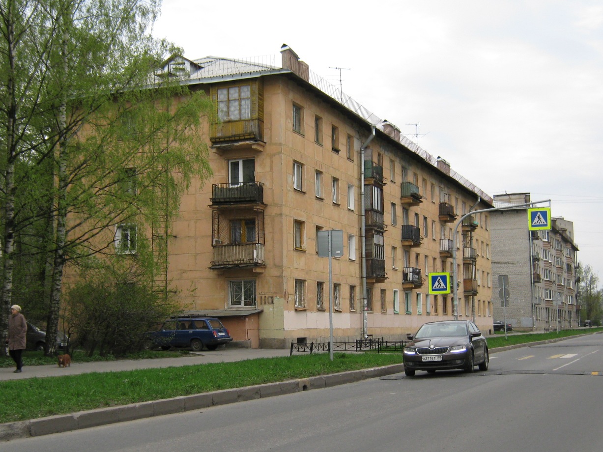Санкт-Петербург, Улица Танкиста Хрустицкого, 110