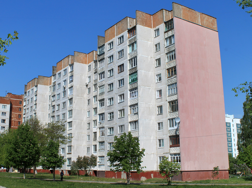 Рогачёв, Улица Богатырёва, 113А