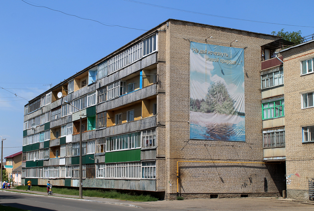 Рогачёв, Улица Козлова, 11А