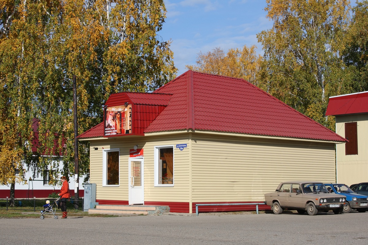 Молчановский район, прочие н.п., с. Молчаново, Улица Димитрова, 38А