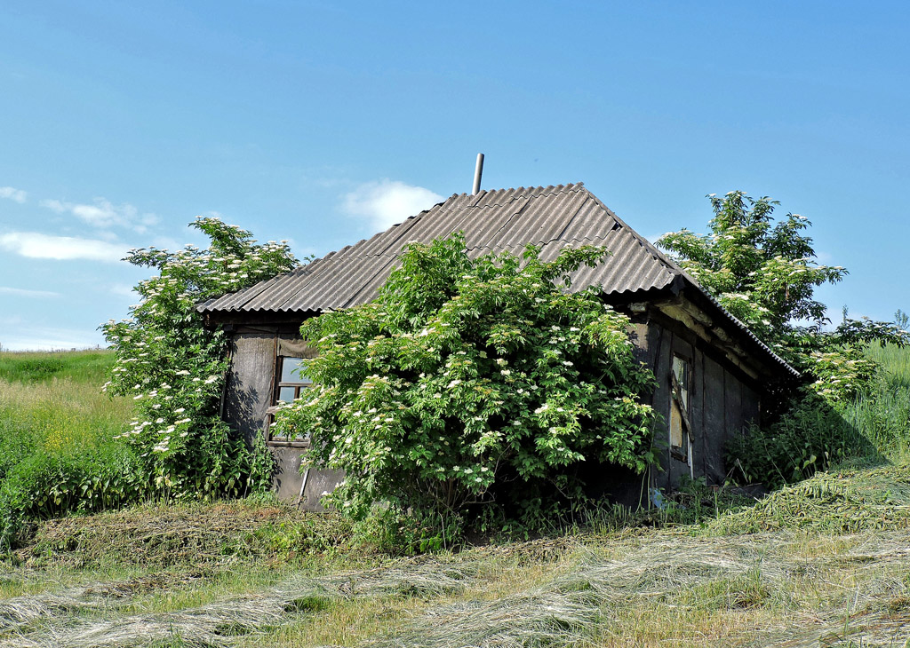 Харьковский район, прочие н.п., С. Байрак, Лесная улица, ?