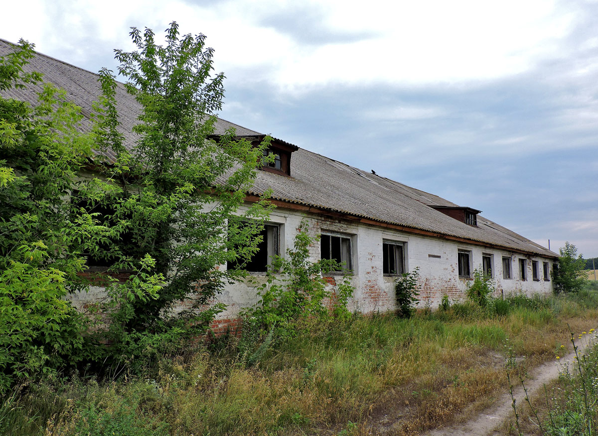 Харківський район, інші н.п., Пос. Фрунзе, Фрунзенская улица, ?