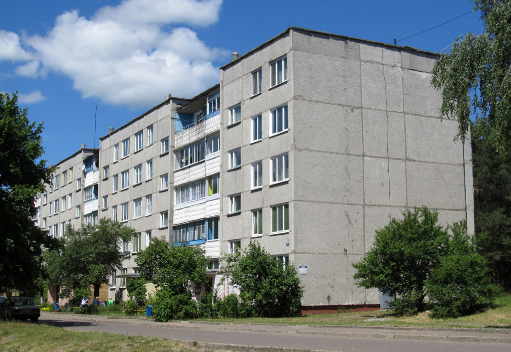Берёзовка, Улица Гагарина, 20