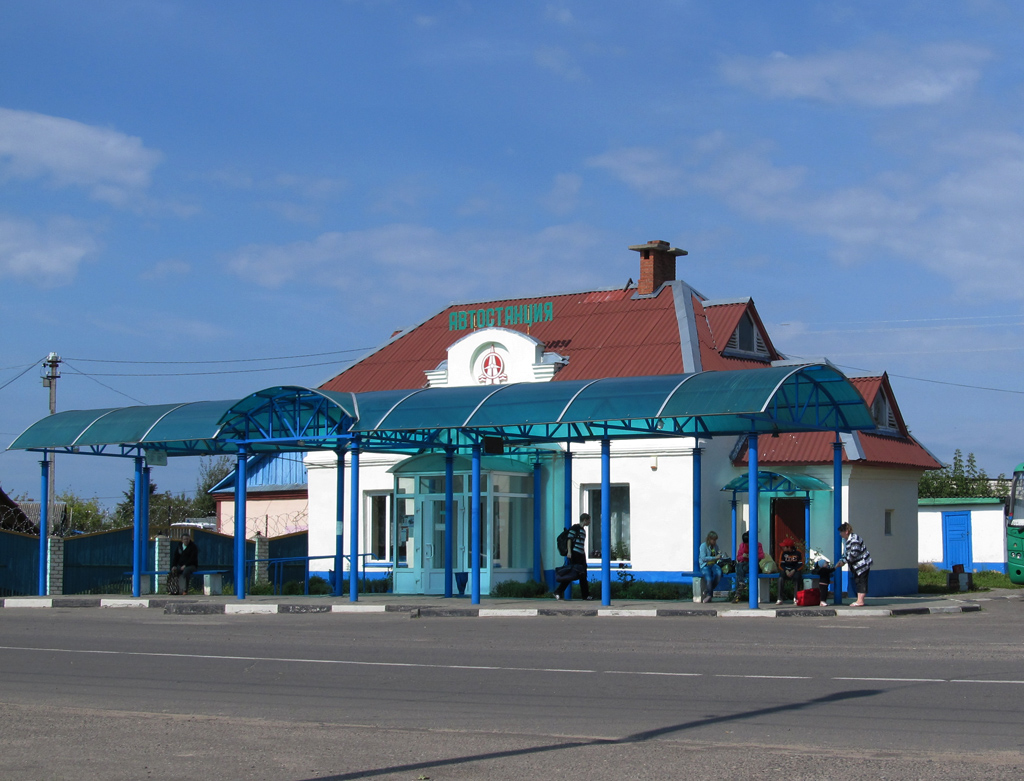 Славгород, Ленинская улица, 55