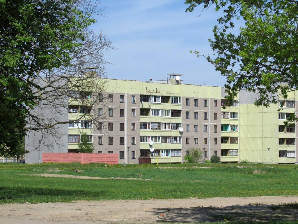 Берёза, Улица Северный Городок, 71