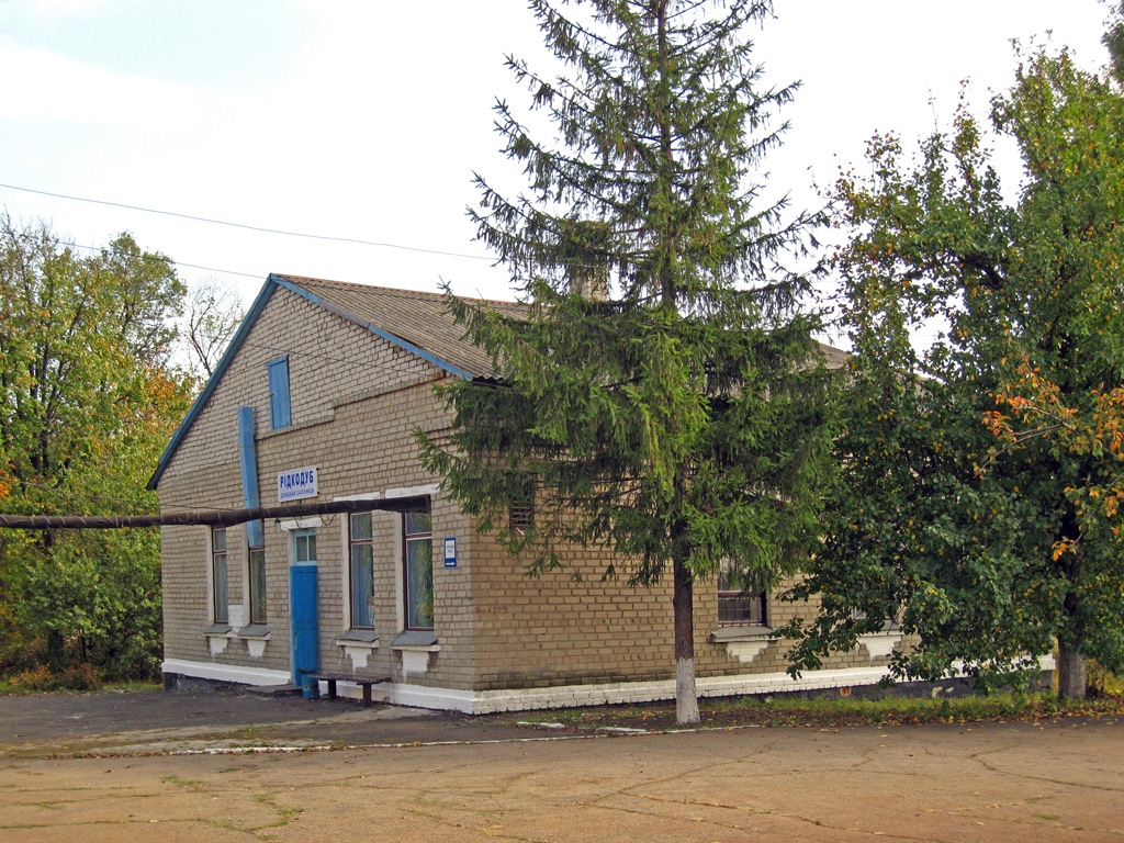 Горловский район, прочие н.п., с. Редкодуб, станция Редкодуб