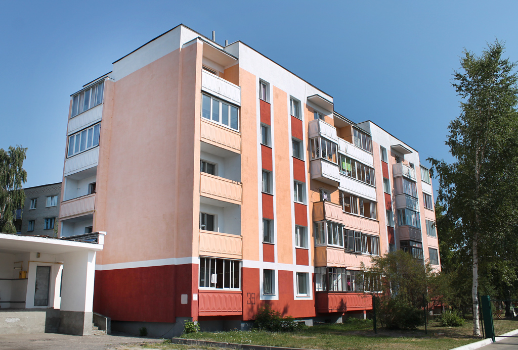 Берёза, Советская улица, 39