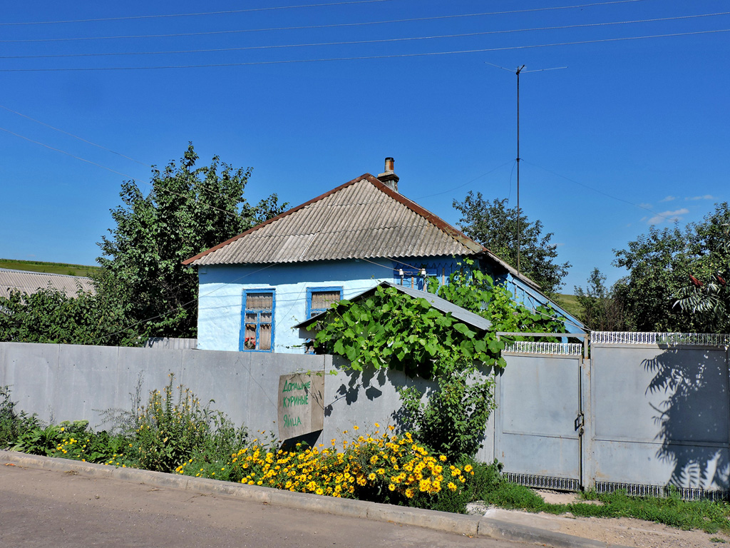 Харьковский район, прочие н.п., С. Александровка, 22