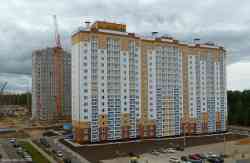 494 КБ