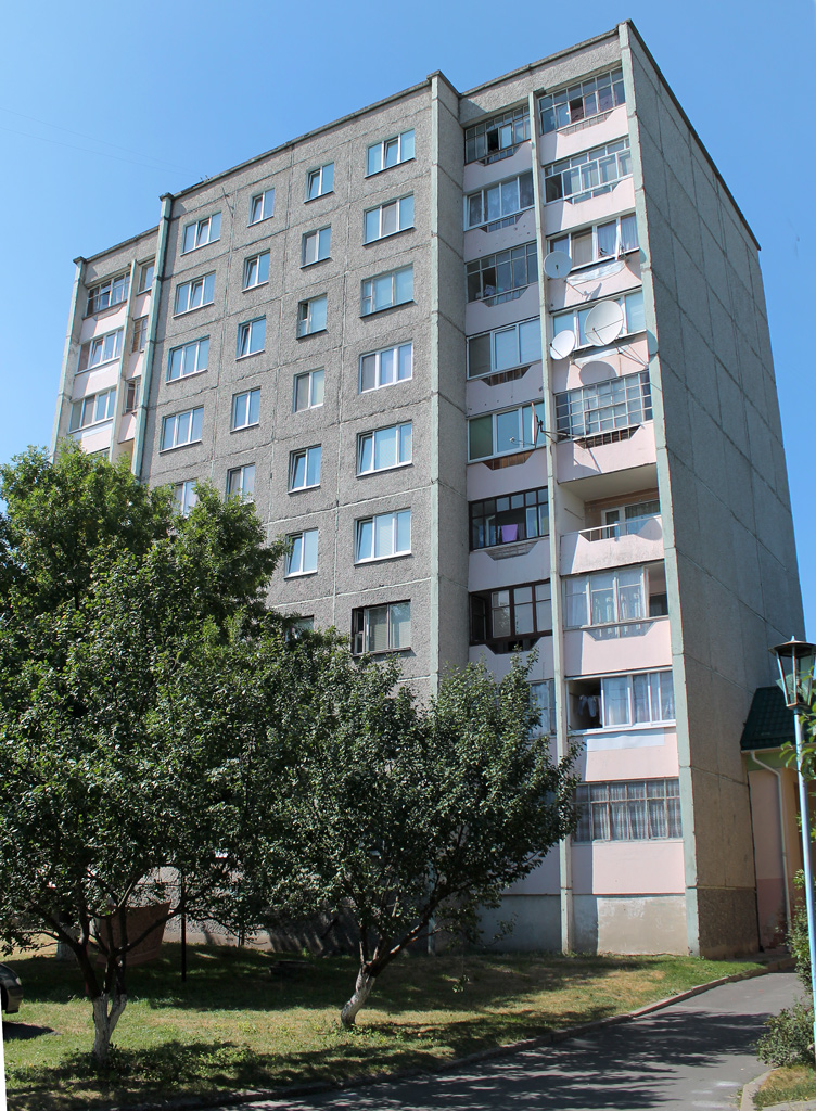 Лунинец, Красная улица, 133