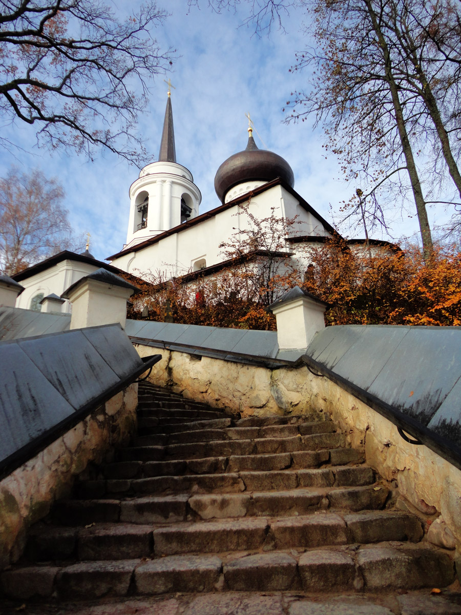 Пушкинские Горы, Пушкинская улица, 1