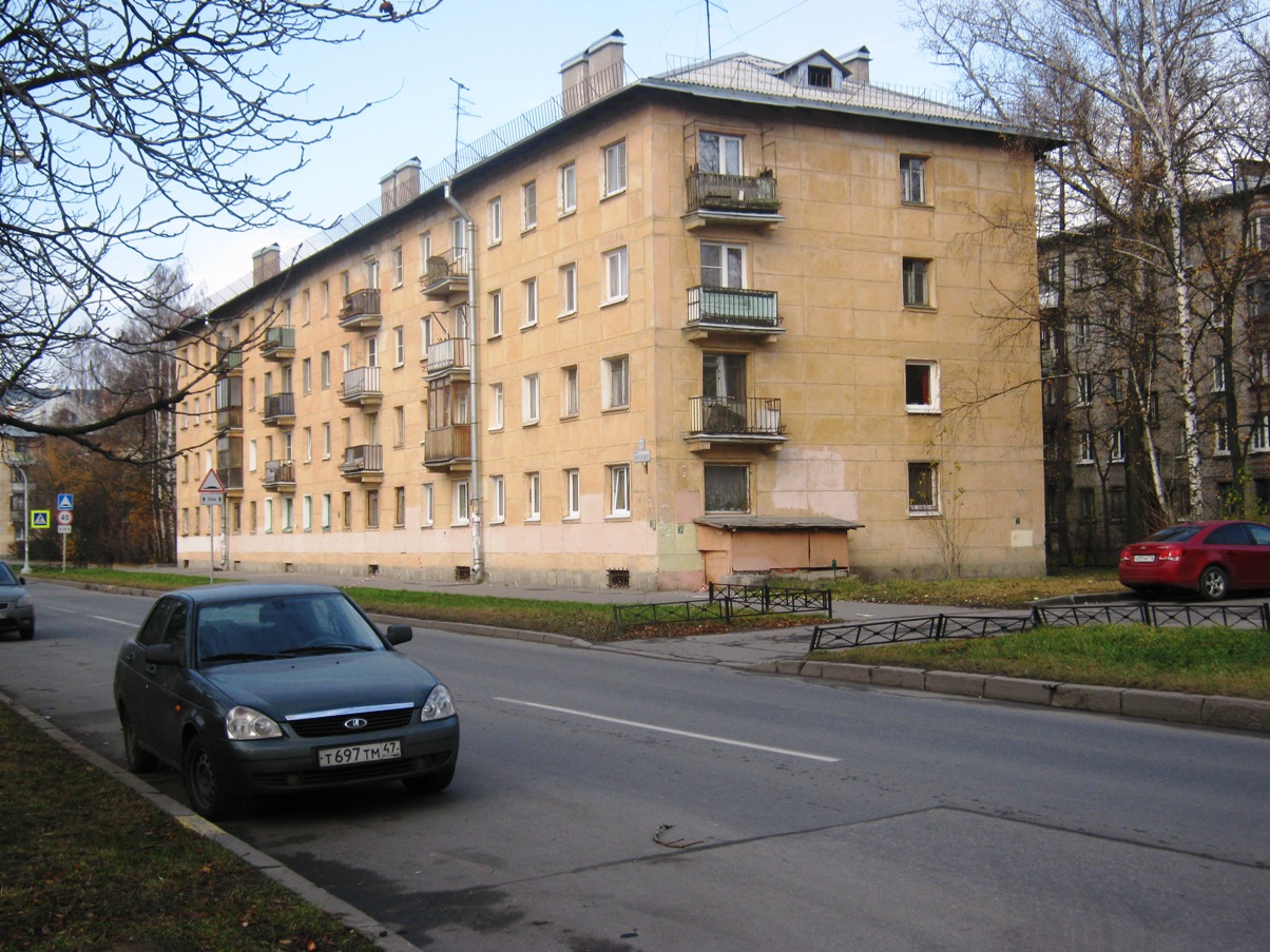 Санкт-Петербург, Улица Танкиста Хрустицкого, 110