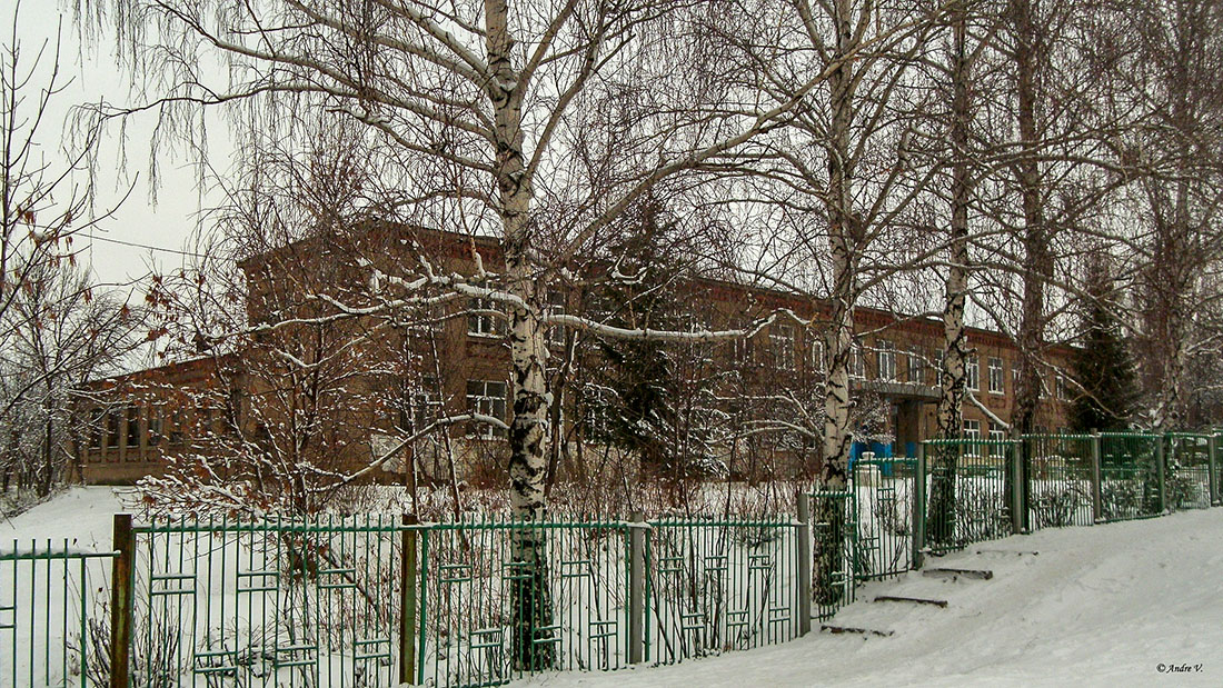 Уфа, п. Новые Черкассы, Пионерская улица, 18