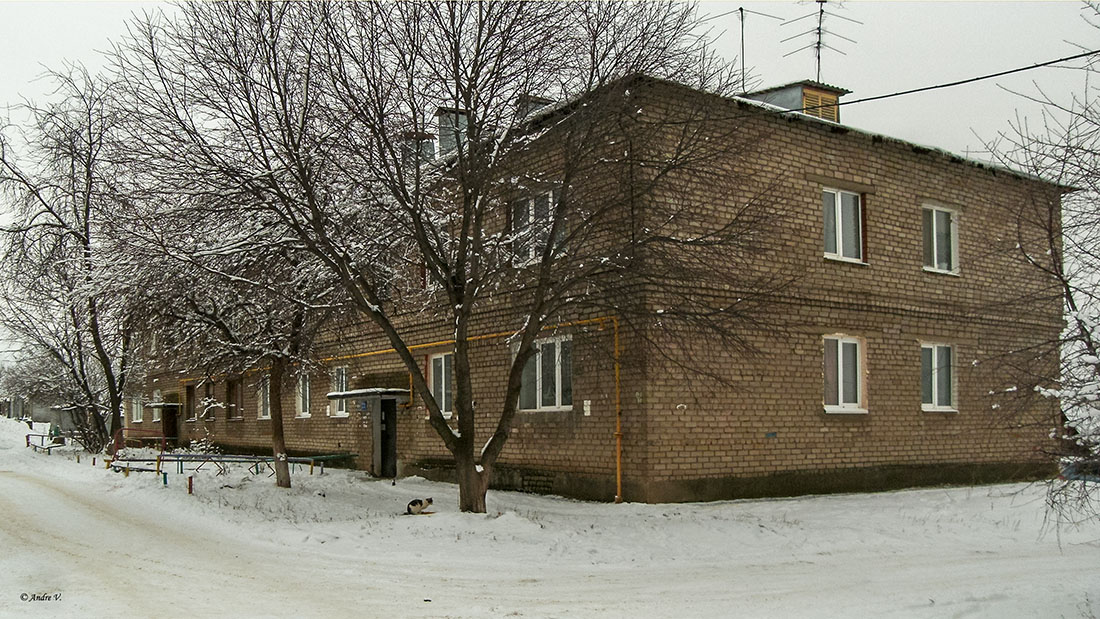 Уфа, п. Новые Черкассы, Пионерская улица, 22