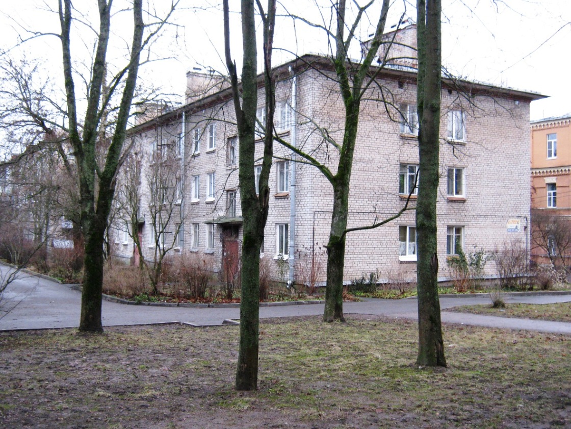 Пушкин, Прямой переулок, 1