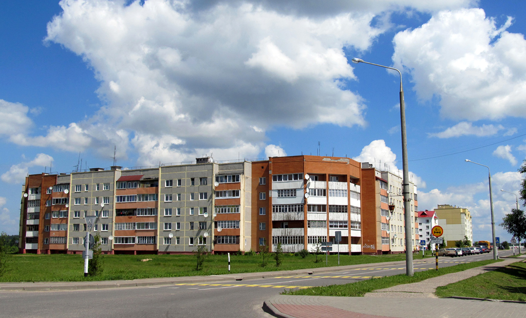 Большая Берестовица, Улица Ленина, 42