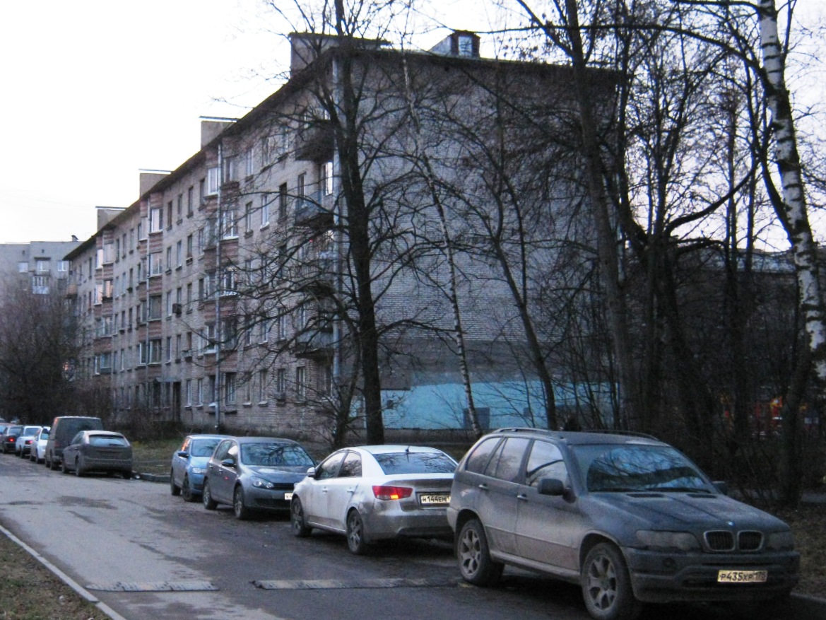 Санкт-Петербург, Улица Танкиста Хрустицкого, 116