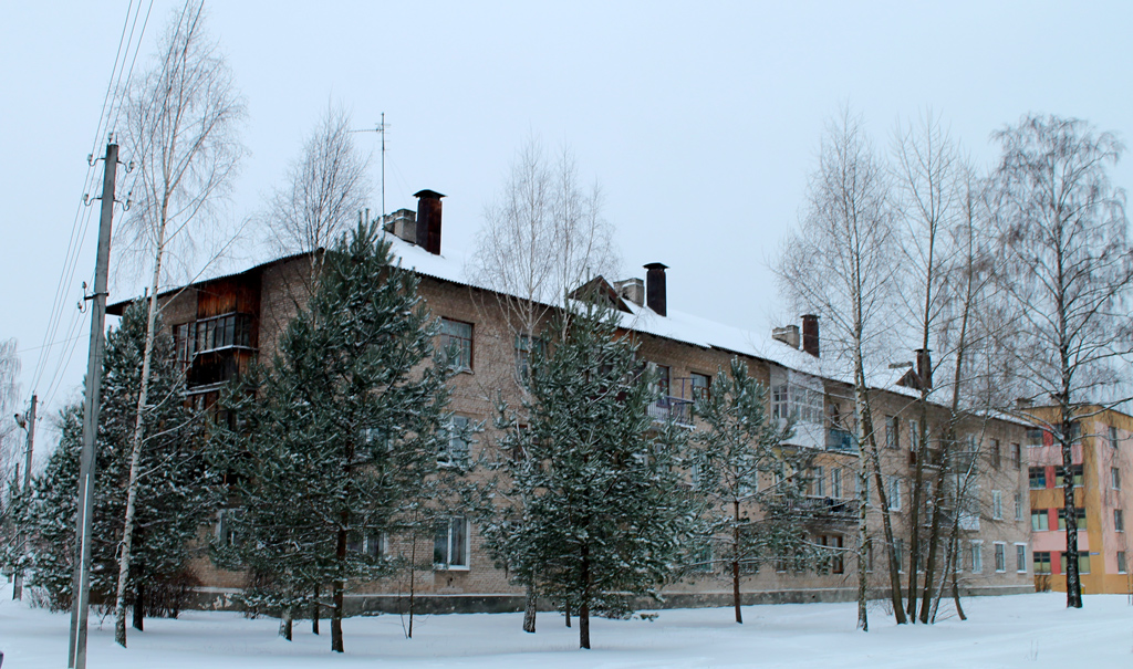 Поставы, Зелёная улица, 5