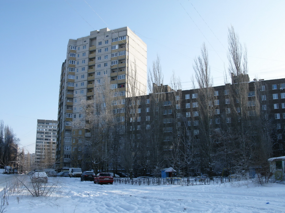 Воронеж, Улица Хользунова, 102В; Улица Хользунова, 102; Улица Владимира Невского, 3
