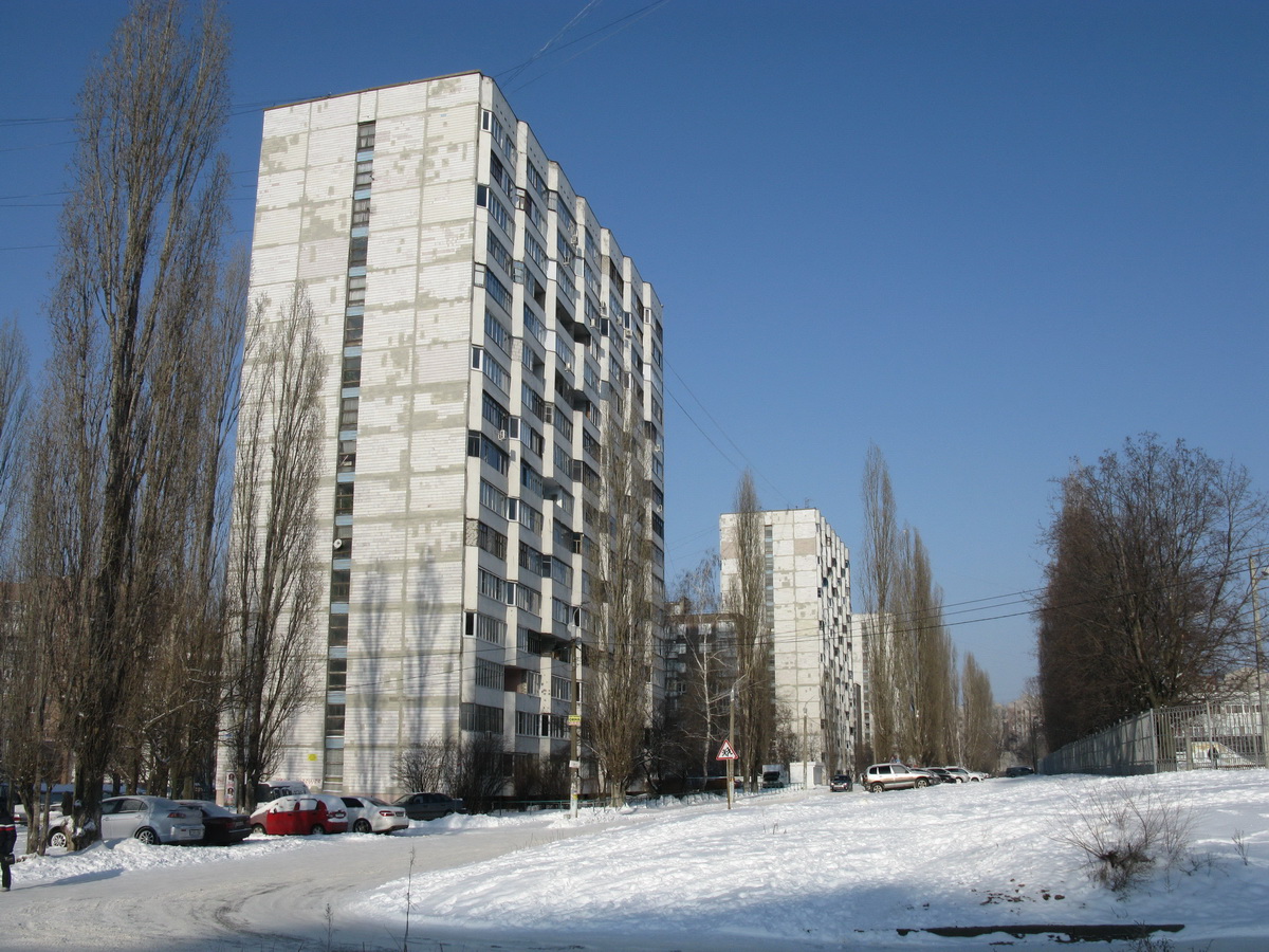 Воронеж, Улица Хользунова, 108; Улица Генерала Лизюкова, 89; Улица Генерала Лизюкова, 95