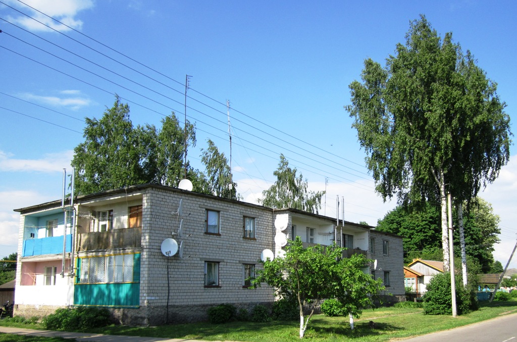 Рогачёвский район, прочие н.п., Белицк, улица Победы, 5