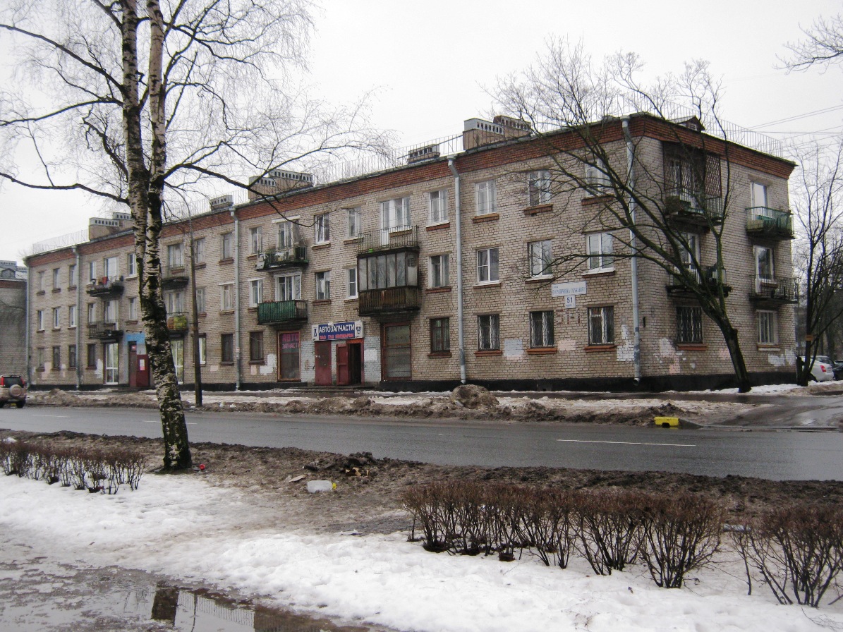 Санкт-Петербург, Улица Пограничника Гарькавого, 51 корп. 1