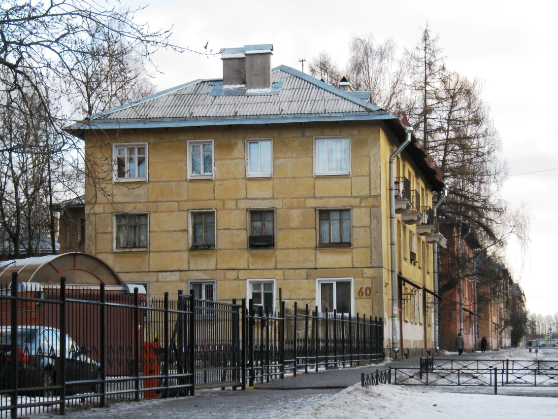 Санкт-Петербург, Улица Танкиста Хрустицкого, 60