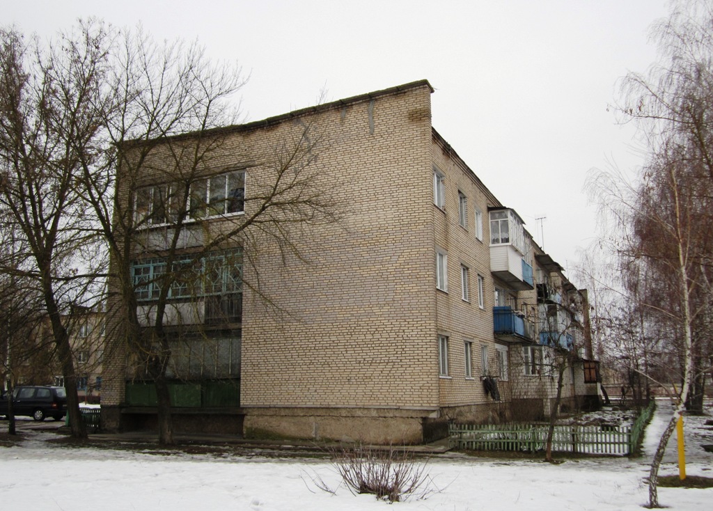 Рогачёв, Друтская улица, 183