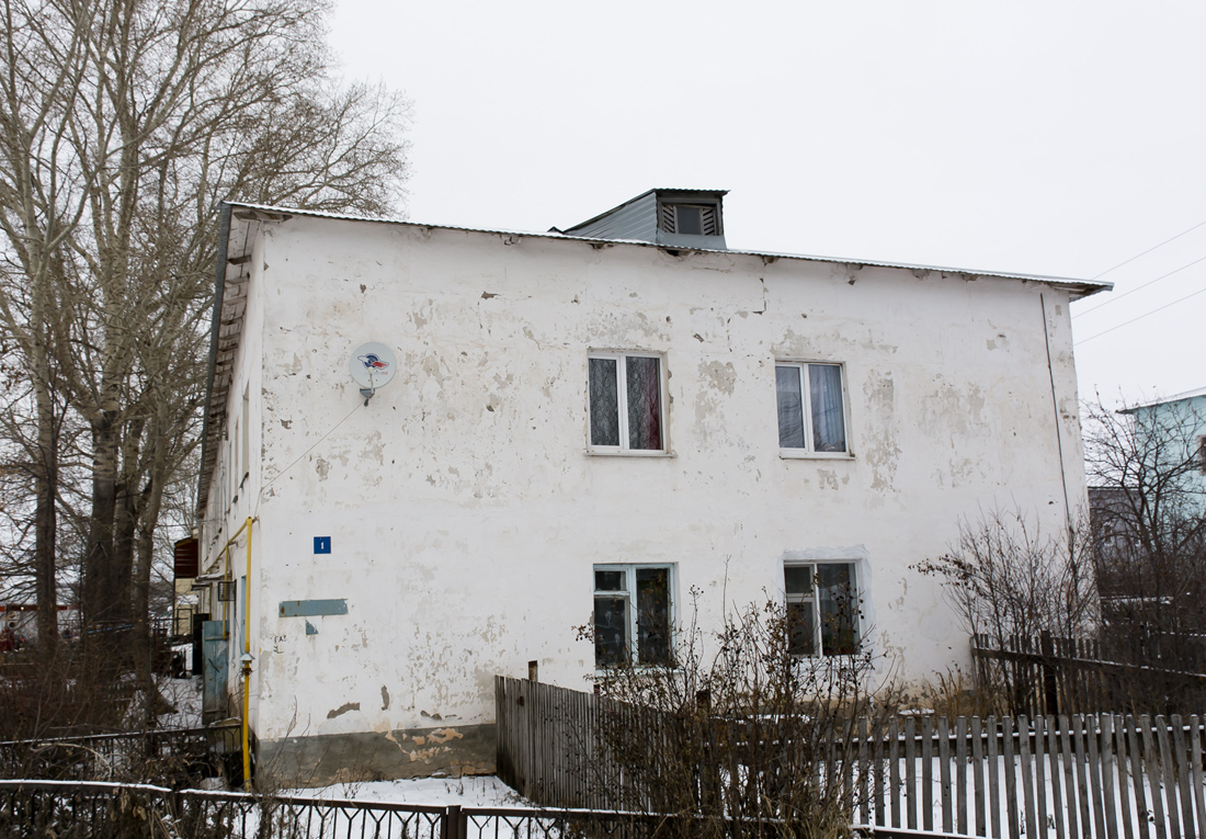 Благоварский район, прочие н.п., с. Языково, улица Космонавтов, 1