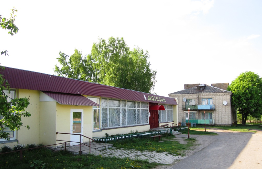 Рогачёвский район, прочие н.п., Столпня, улица Ленина, 13