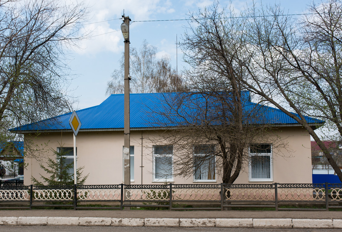 Благоварский район, прочие н.п., с. Языково, Социалистическая улица, 1