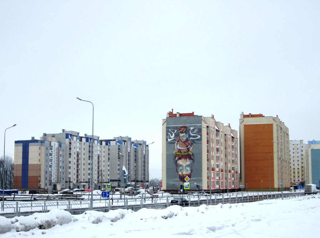 Рогачёв, Улица Богатырёва, 165; Улица Богатырёва, 163; Улица Богатырёва, 161Б; Улица Богатырёва, 161Г; Улица Богатырёва, 161А