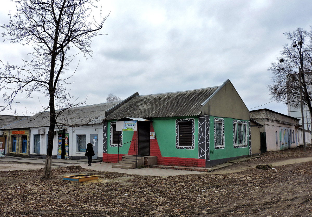 Рогань, Улица Ленина, 68
