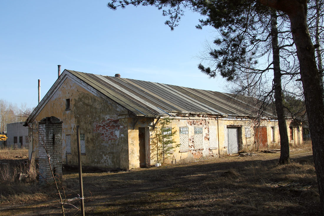 Клоога, Saare, 3
