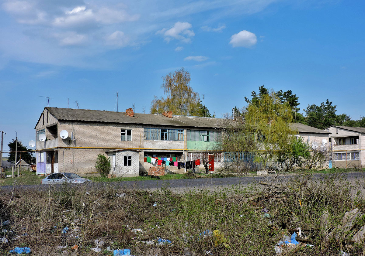 Змиевской район, прочие н.п., с. Пролетарское, улица Мира, 19
