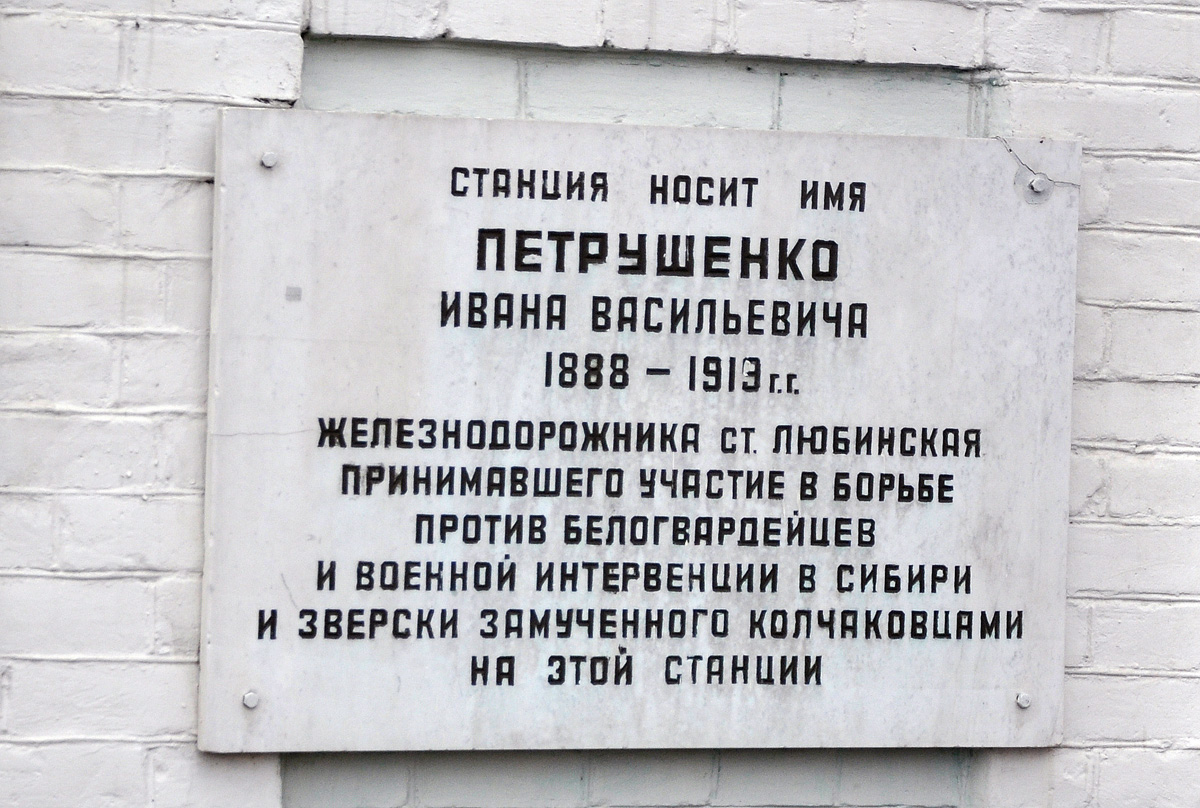 Омский район, прочие н.п., Посёлок ж/д разъезда Петрушенко, Привокзальная улица, 7