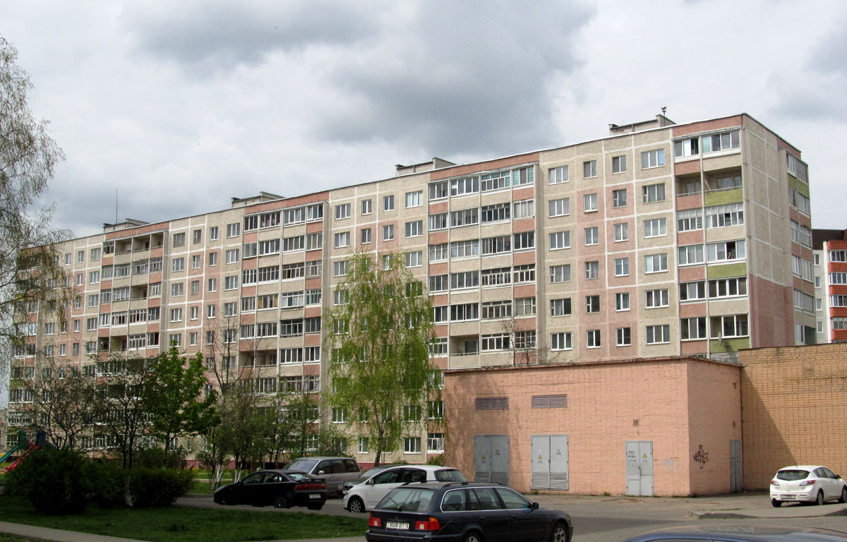 Слуцк, Улица Ленина, 217