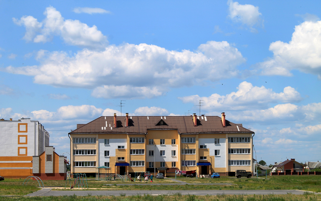 Ельск, Полевая улица, 49