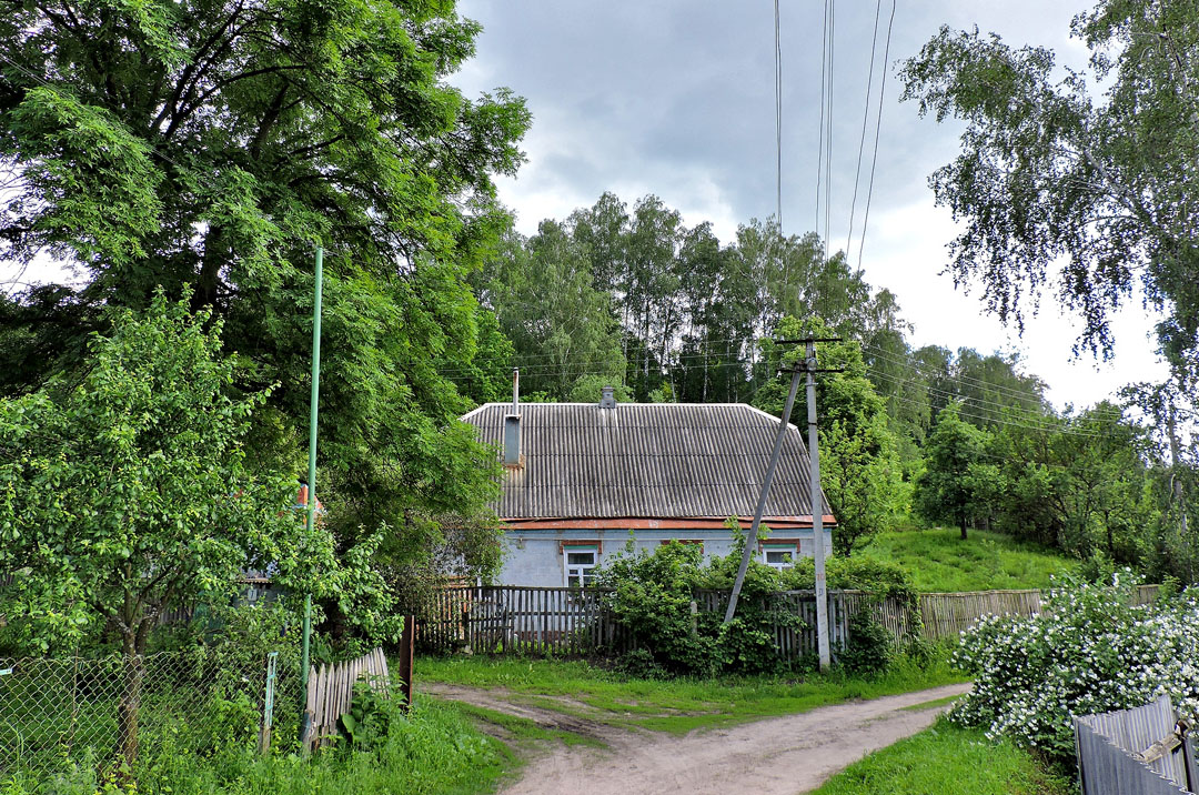 Хорошево, Переулок Артема, 6