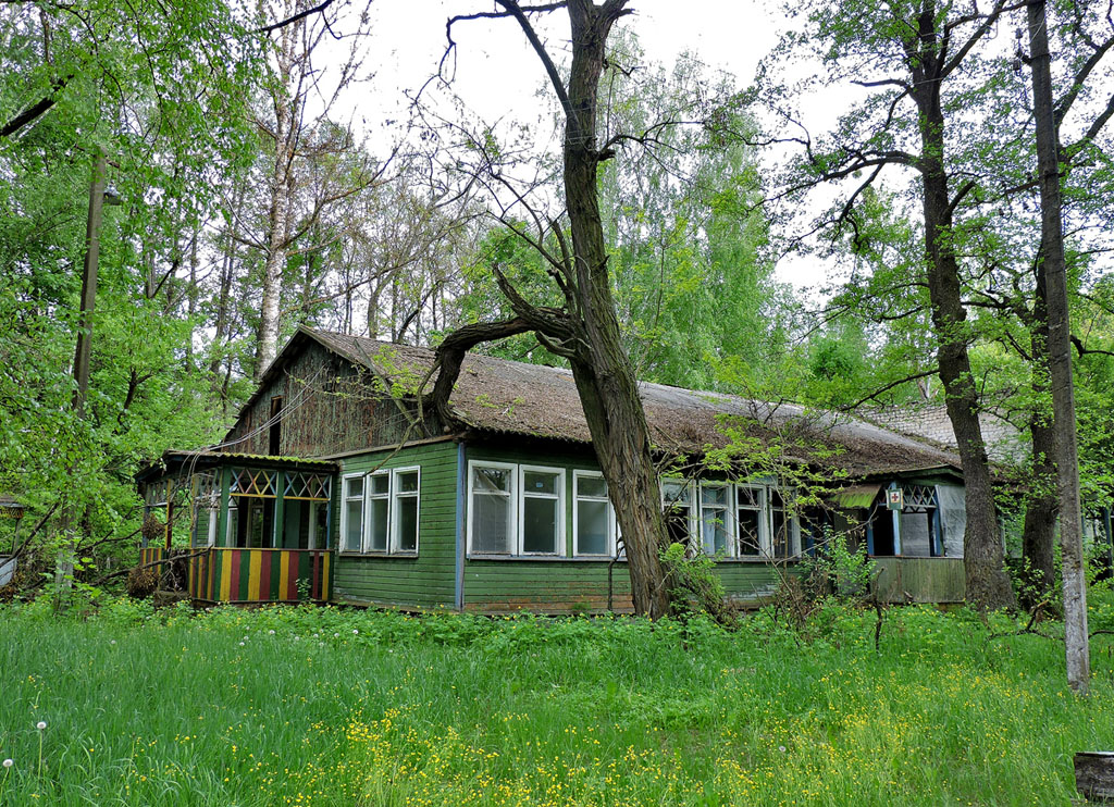 Змиевской район, прочие н.п., с. Тимченки, улица Мира, ?