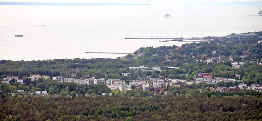 Таллин — Панорамы